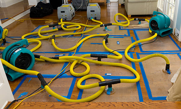 Professional Crawl Space Water Removal technician working in Davis, SD